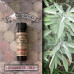 Wicked Good Energetic Sage Oil