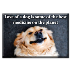 Love of a DOG is some of the best medicine on the planet Magnet