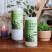 World Magic Sacred White Sage Candle - 2X4